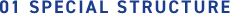 01 SPECIAL STRUCTURE