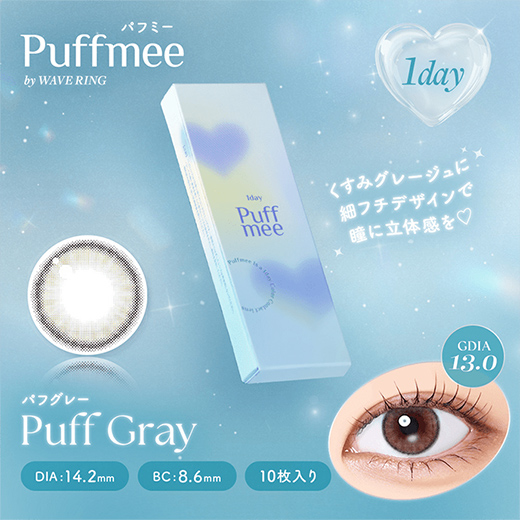 パフミーワンデー パフグレー 10枚入り（×4箱）