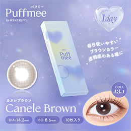 パフミーワンデー カヌレブラウン 10枚入り（×2箱）