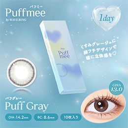 パフミーワンデー パフグレー 10枚入り（×4箱）